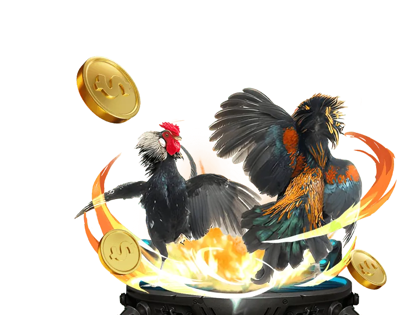 Tin tức sòng bạc 12BET