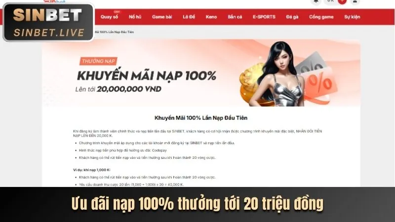 Tổng quan về link vào 12bet và tầm nhìn phát triển